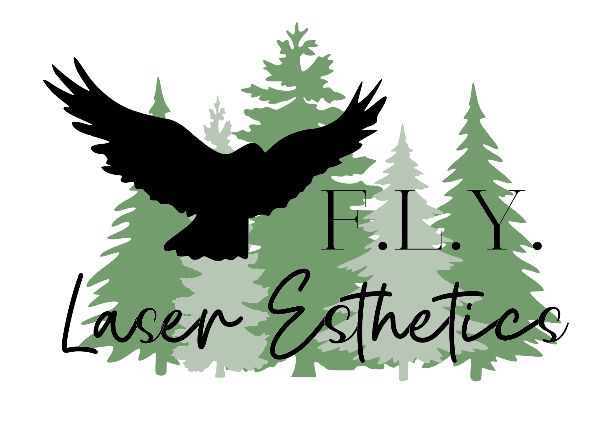 F.L.Y Laser Esthetics